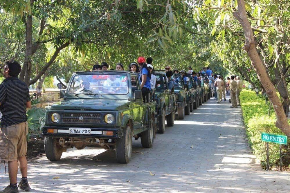 Gir Jungle Lodge Sasan Gir Zewnętrze zdjęcie