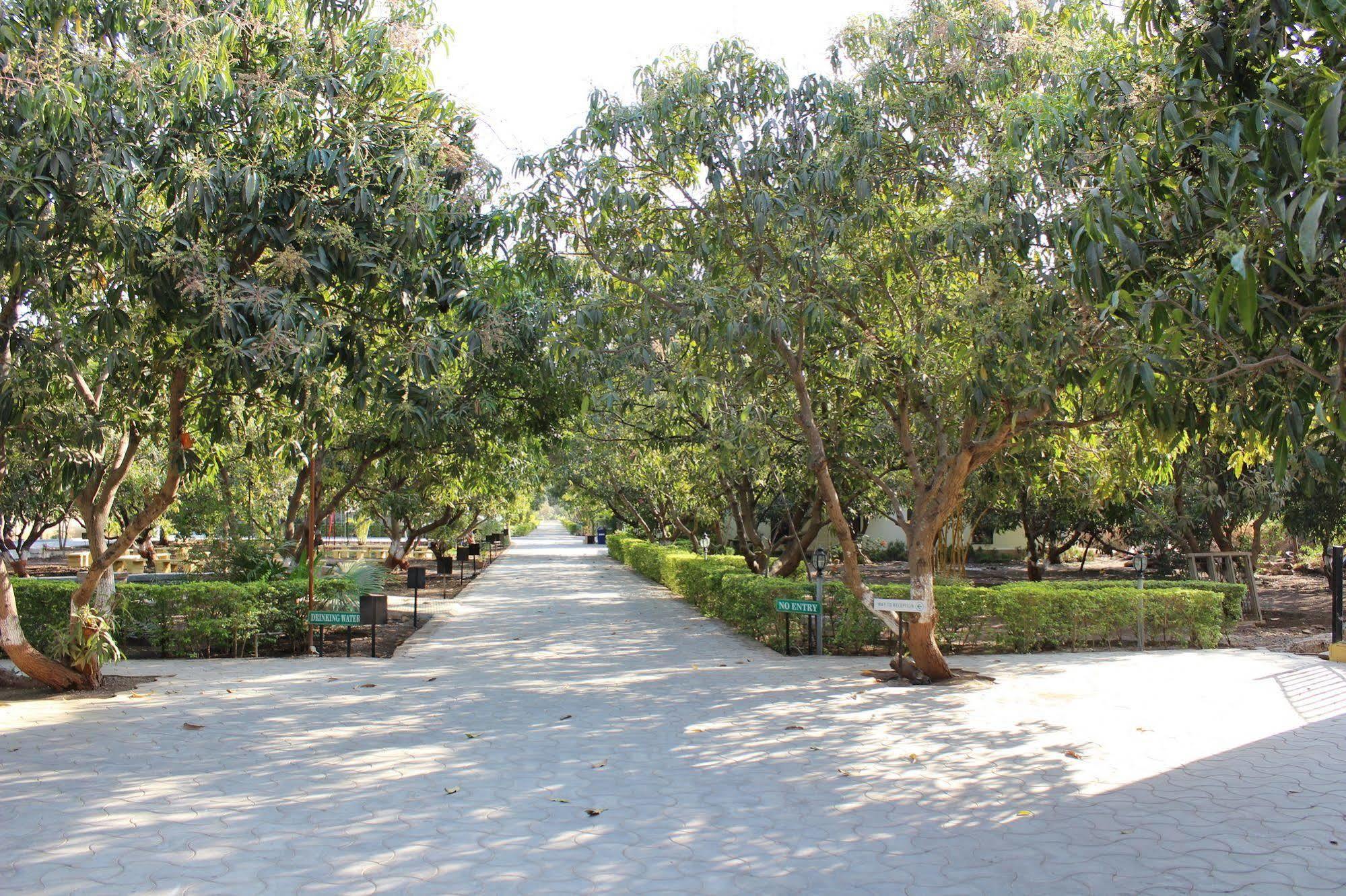 Gir Jungle Lodge Sasan Gir Zewnętrze zdjęcie
