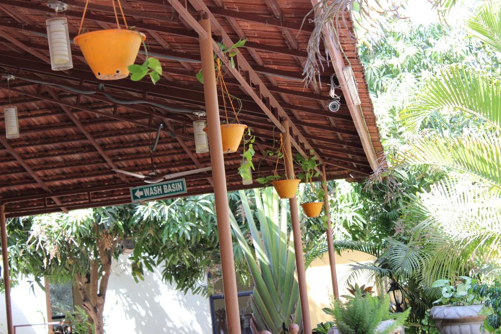 Gir Jungle Lodge Sasan Gir Zewnętrze zdjęcie