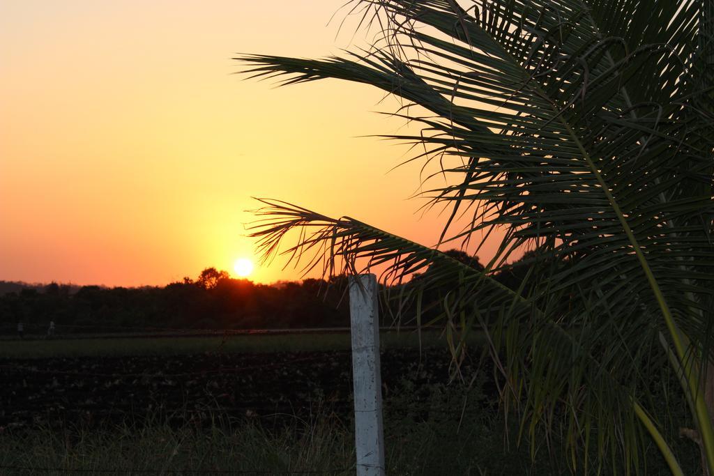 Gir Jungle Lodge Sasan Gir Zewnętrze zdjęcie